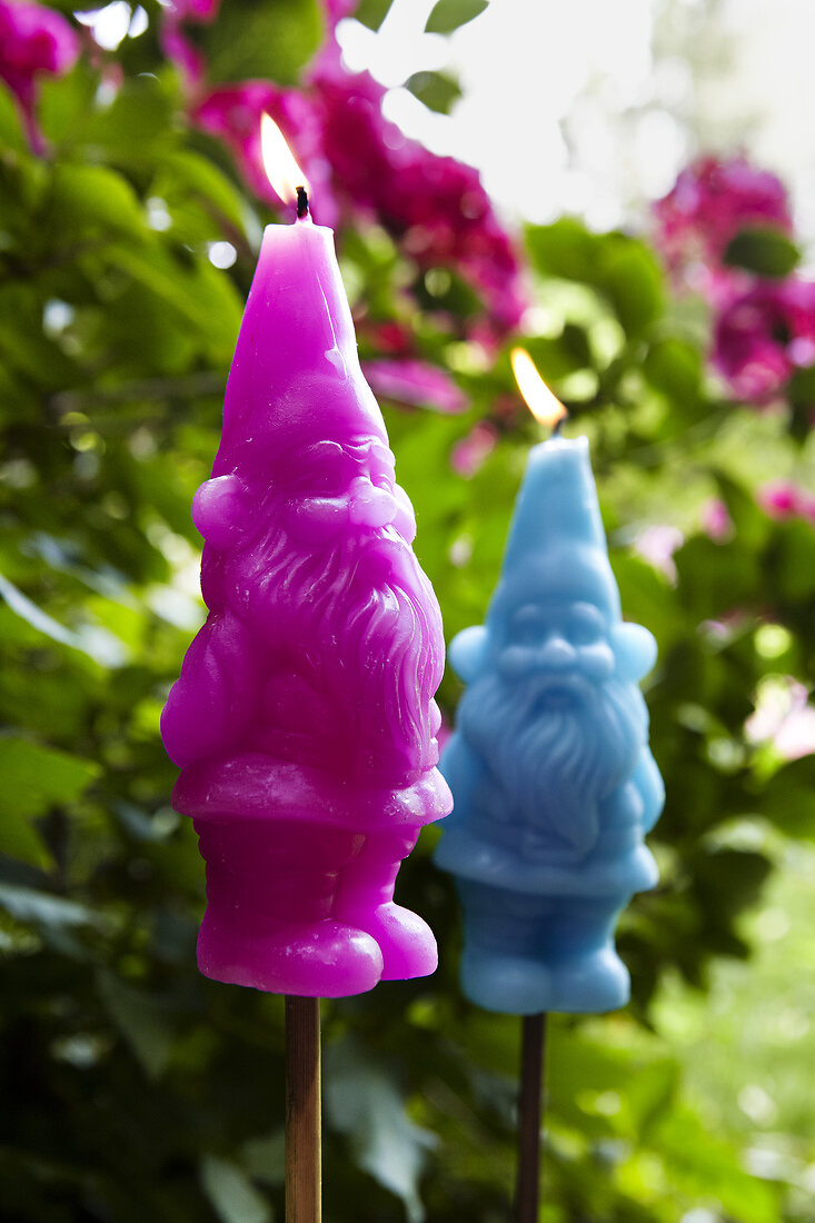 Close-up of pink and blue gnomes candles in garden