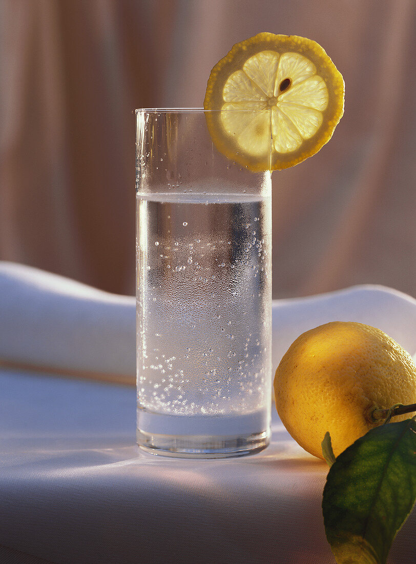 Glass of Sparkling Water with Lemon Slice