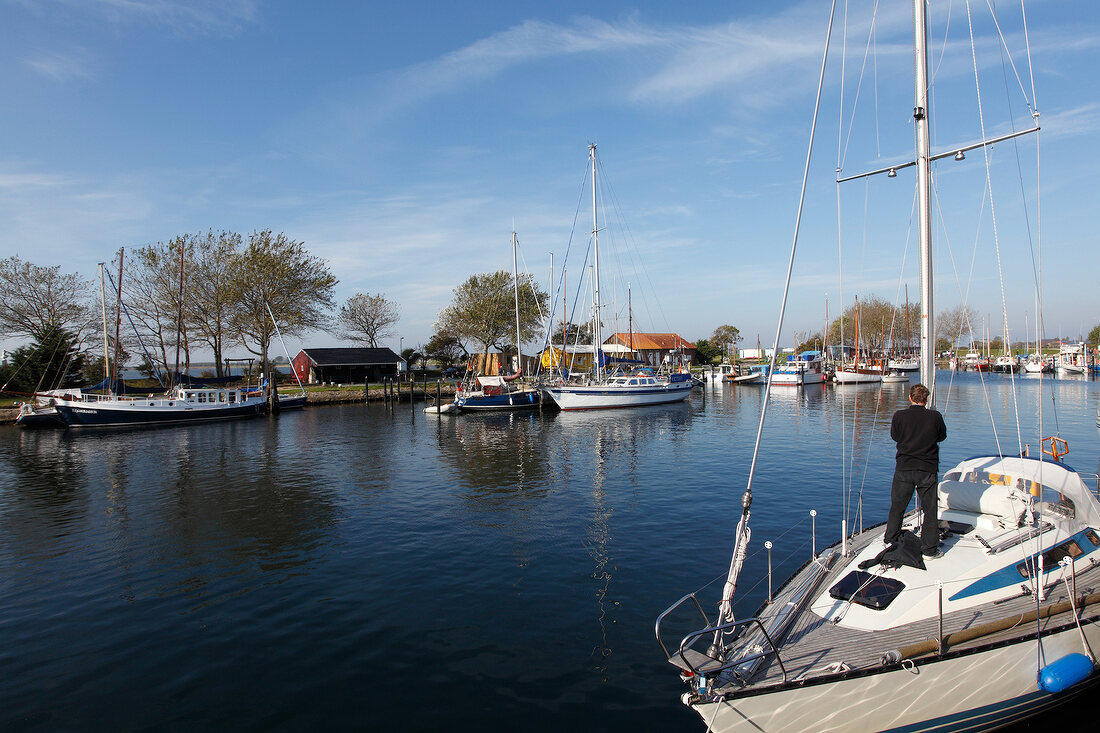 Boats moored on harbor, Baltic Coast, Schleswig-Holstein