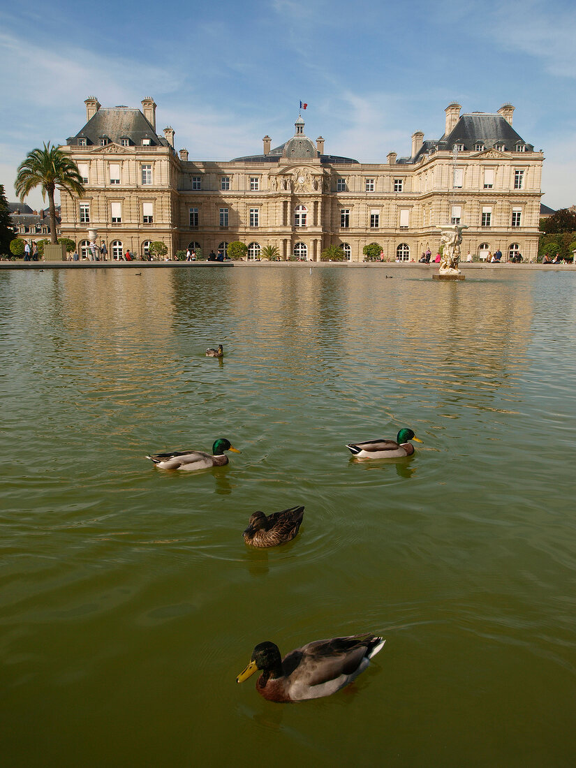 Paris: Jardin du Luxembourg, Aufmacher