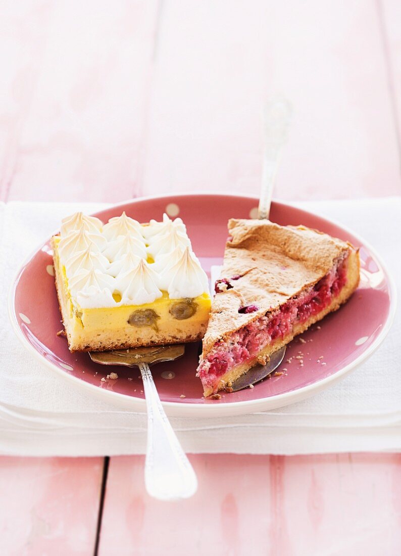 Ein Stück Traubenkuchen und ein Stück Stachelbeerkuchen