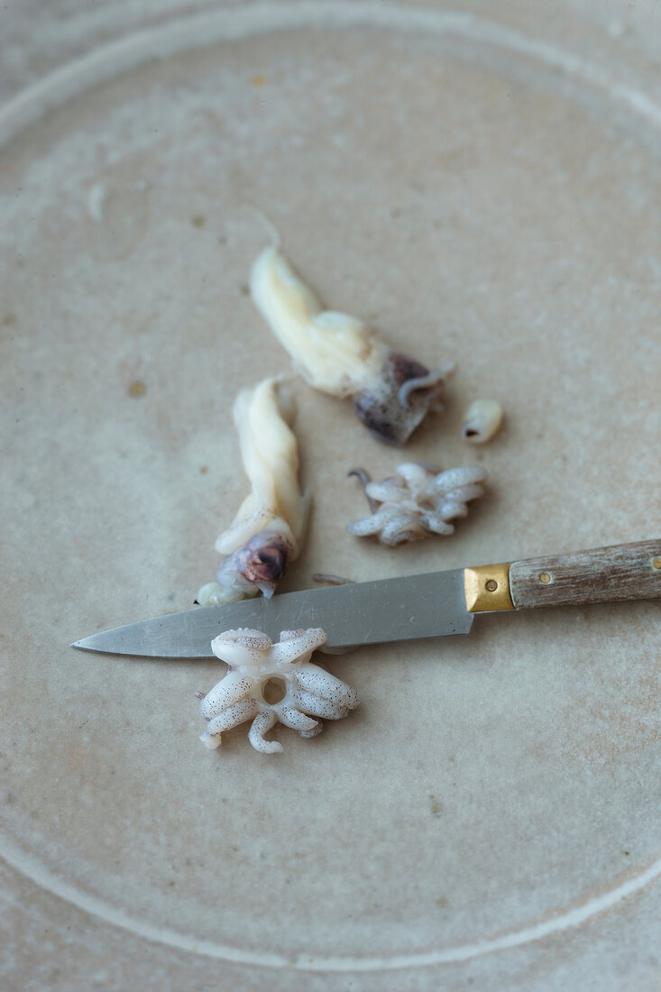 Tentacles slices of calamari
