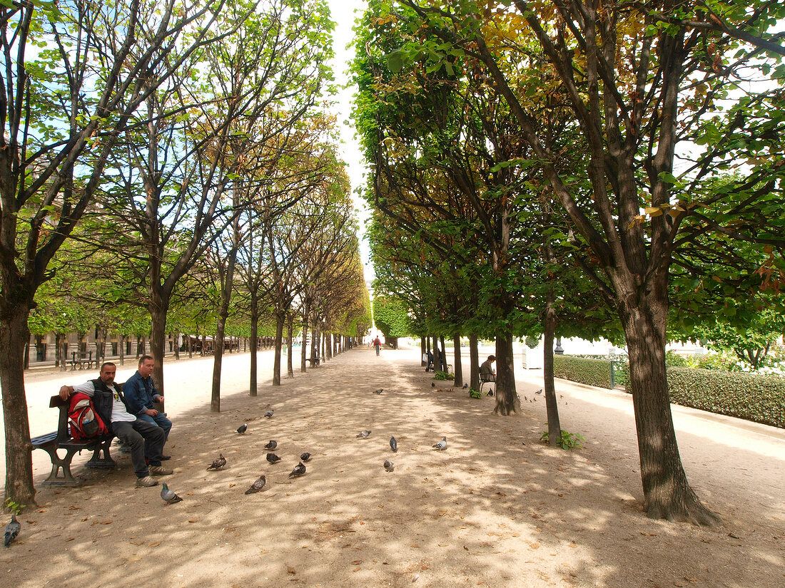 Paris: Jardin du Palais Royal
