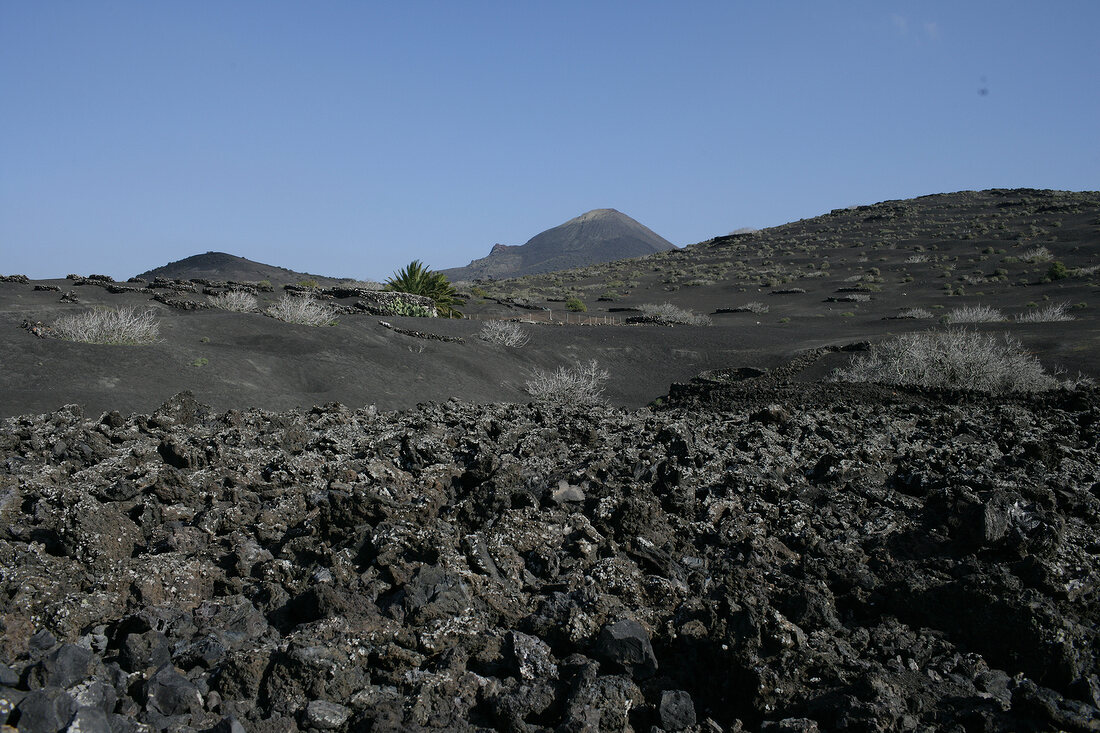 Lavalandschaft Lanzarote Spanien