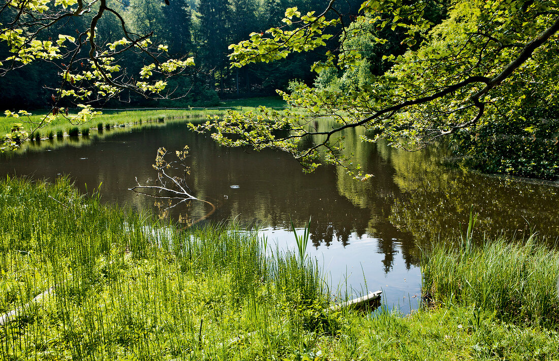 View of Hoher Meissner and Mother Hulda pond, Hesse, Germany