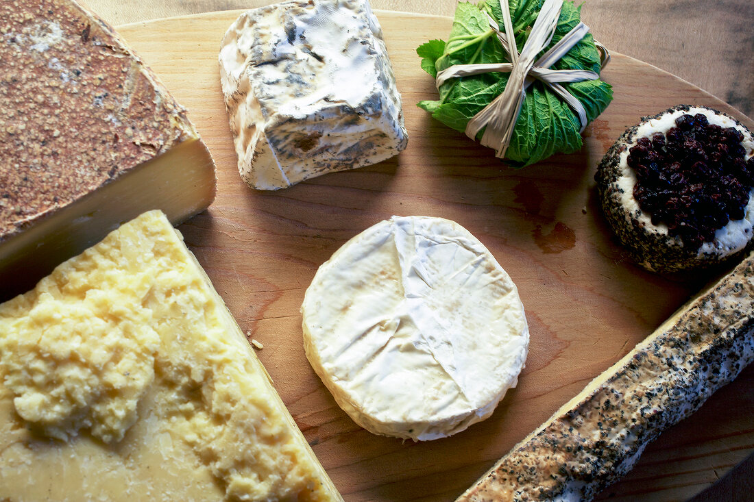 Various types of goat cheese on wood