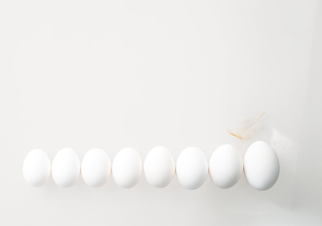 Various sizes of eggs on white background