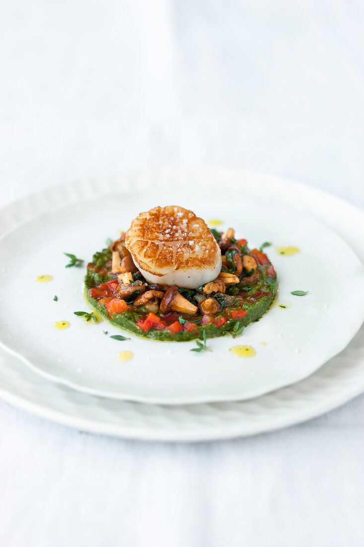 Gebratene Jakobsmuscheln mit Pfiffer lingen und Paprika-Pesto