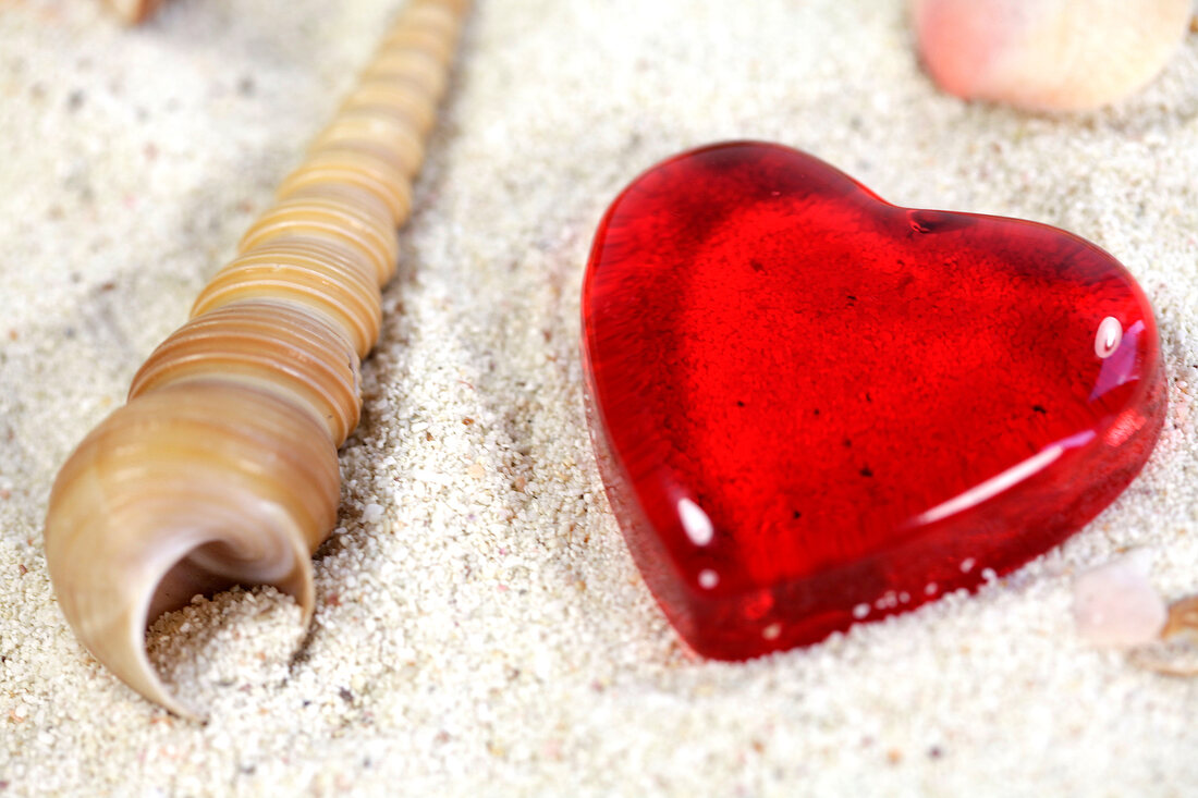 Close-up of sea shell and red heart on sand