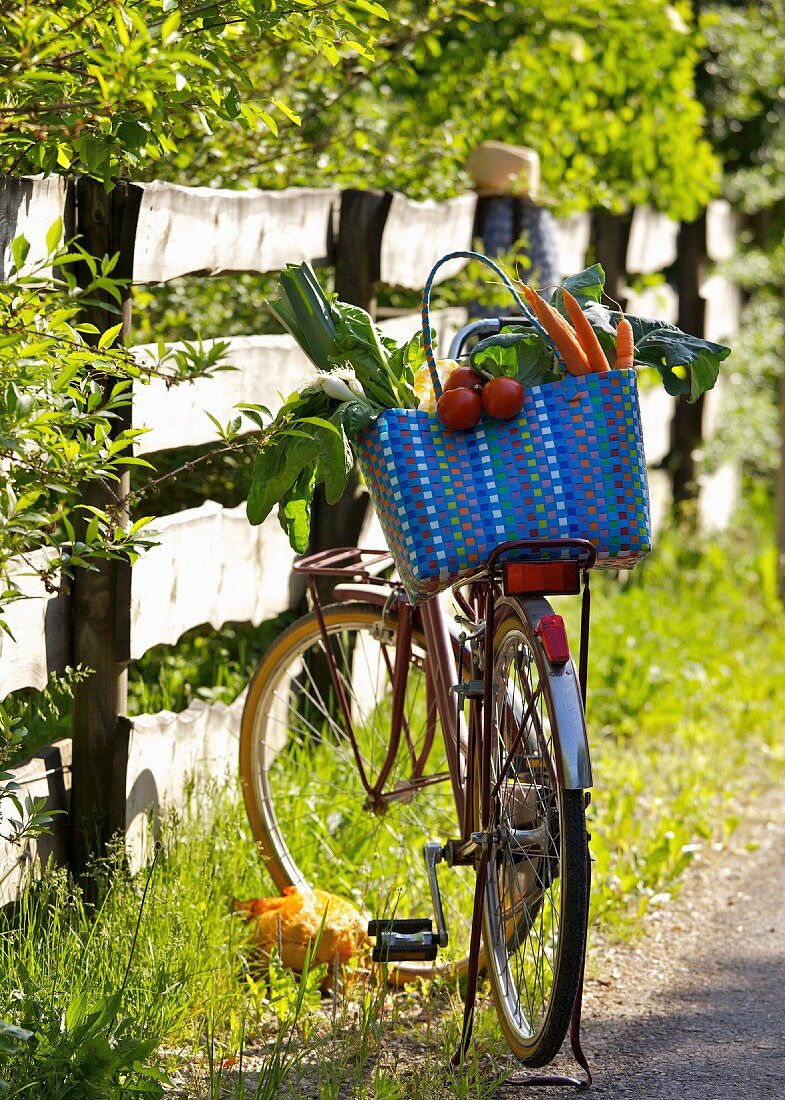 Fahrrad mit Gemüse im Einkaufskorb am Wegesrand