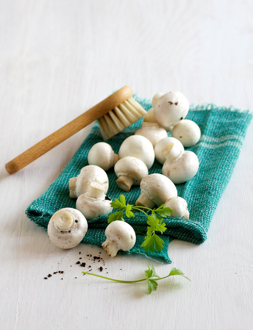 Fresh mushrooms with brush on green napkin