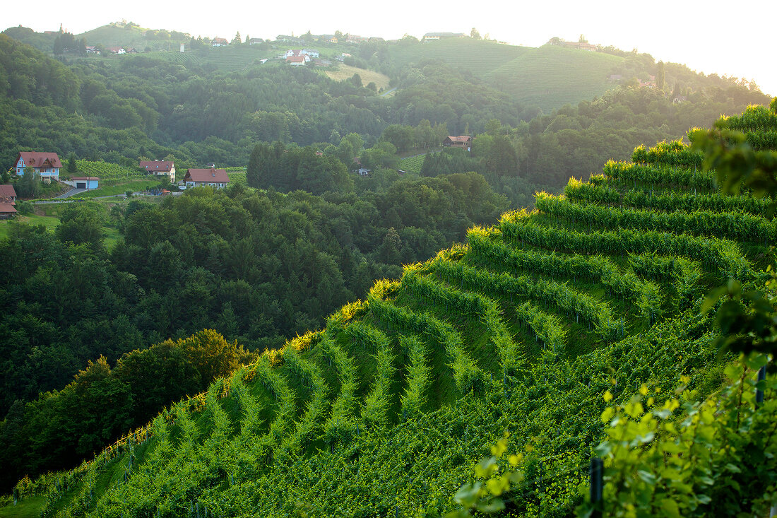 View of Kitzeck, Styria, Austria