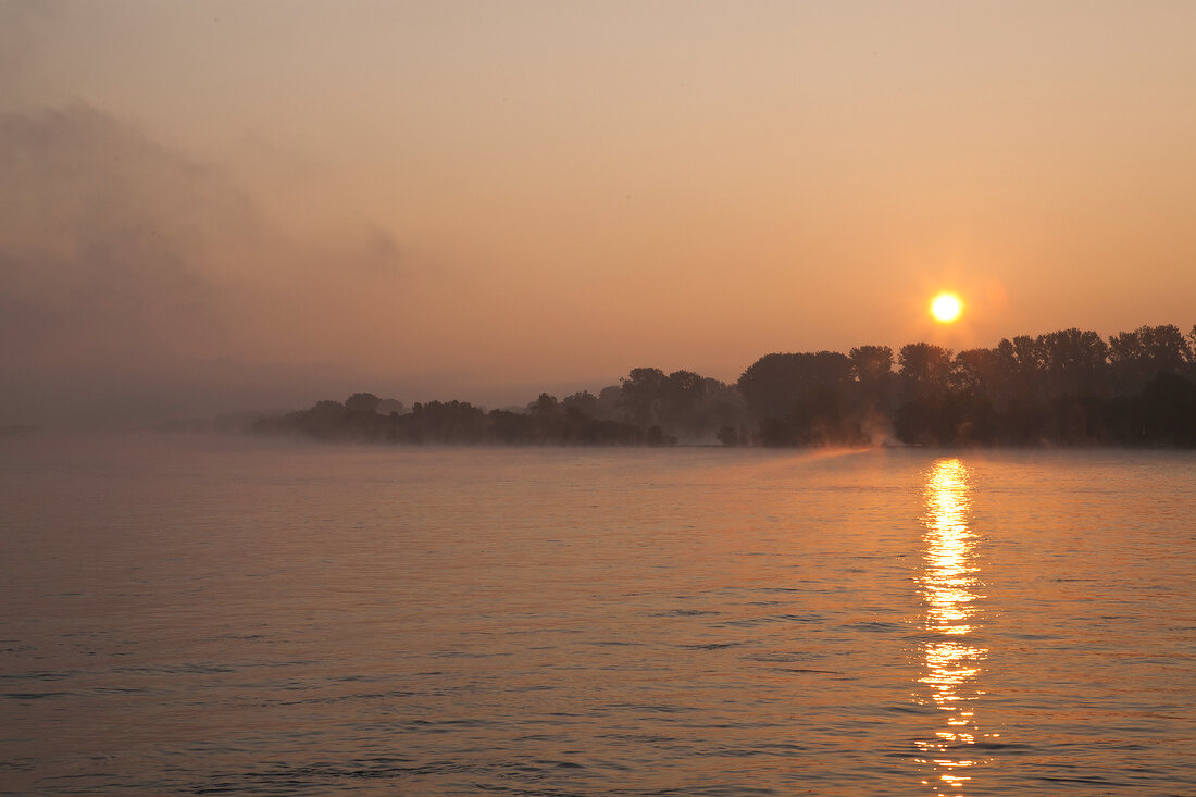 Deutschland, Hessen, Rheingau, Oestrich, Rhein, Sonnenaufgang