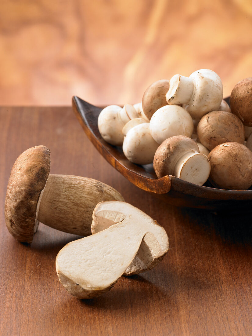 Close-up of different types of mushrooms 