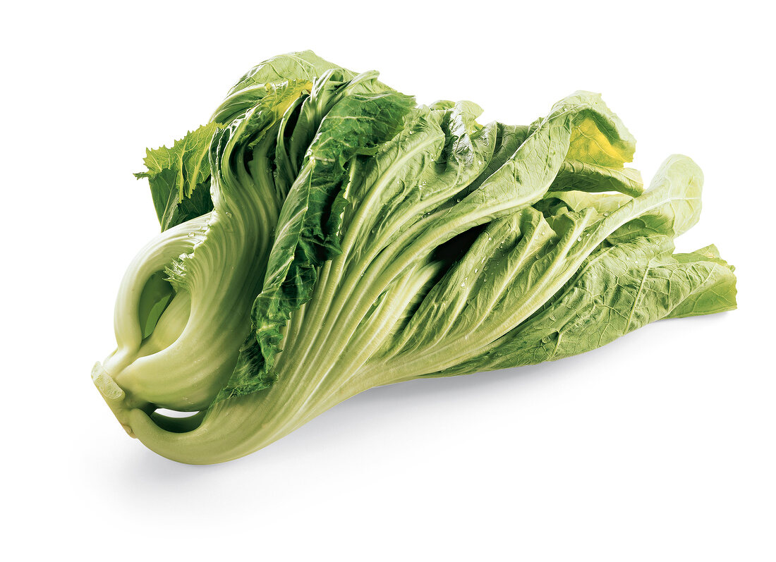 Close-up of mustard cabbage on white background