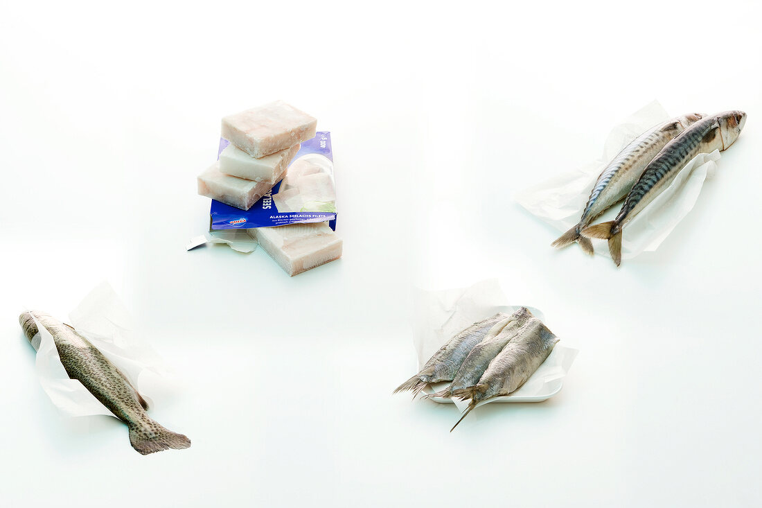 Various raw fishes on white background
