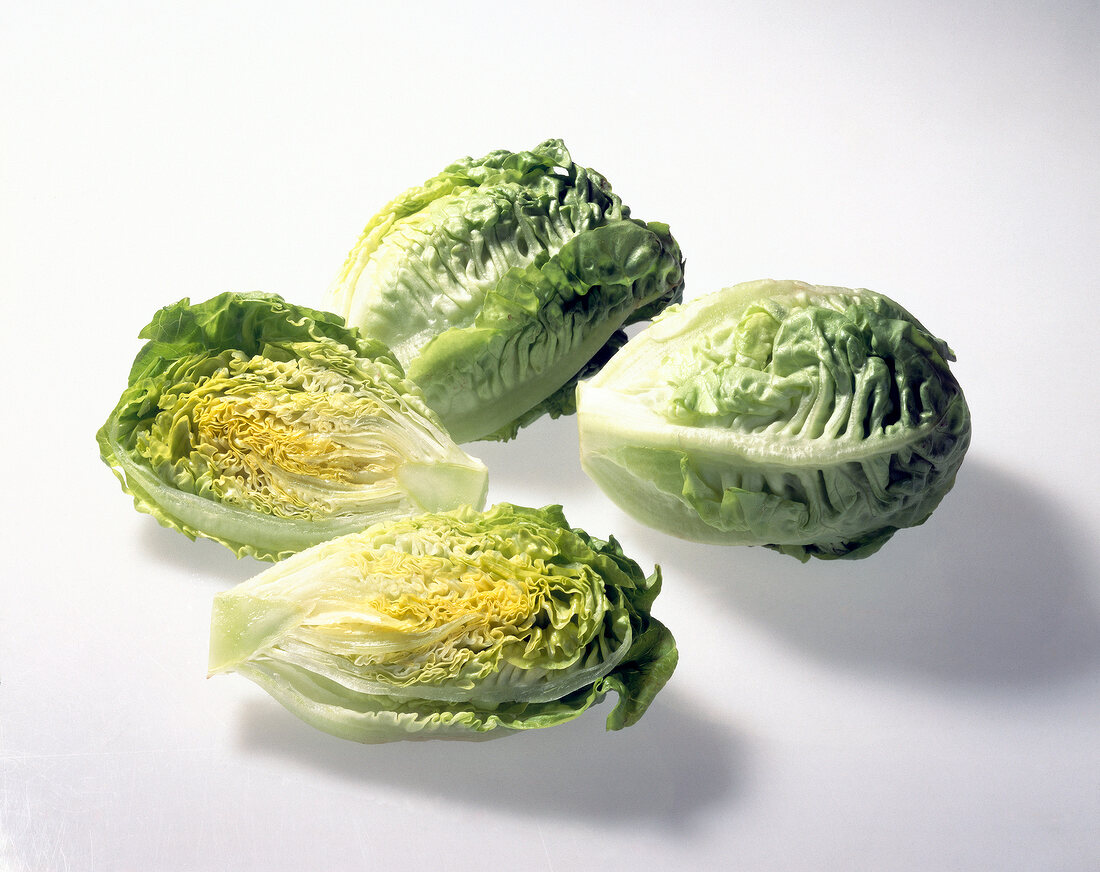 Four mini romaine lettuce on white background