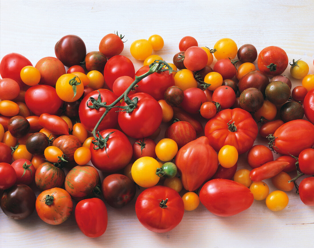 Different types of tomatoes on white background