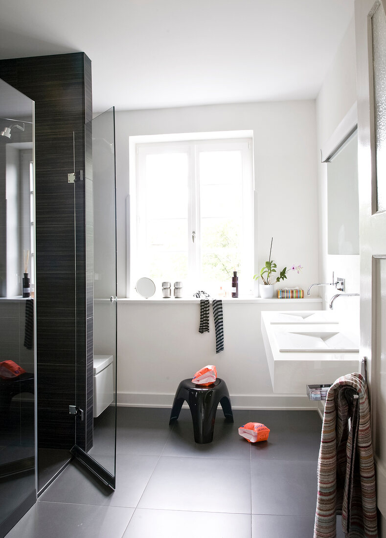 Bathroom with sink, shower stall and stool