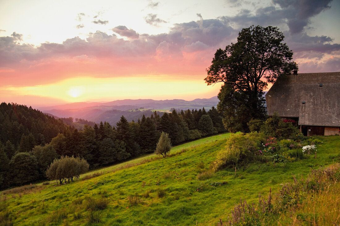 View of Rhine Valley at sunset, Black Forest, Baden-Wurttemberg, Germany