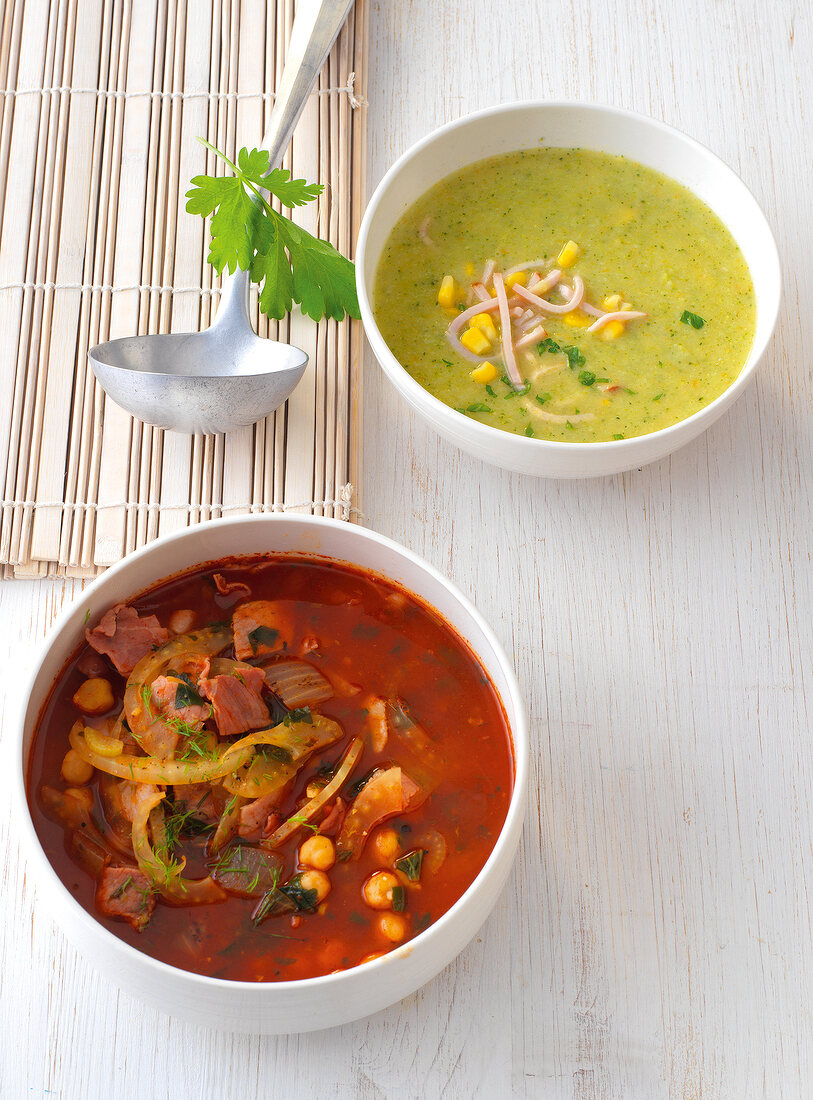 Vegetable soup and fennel stew in bowl