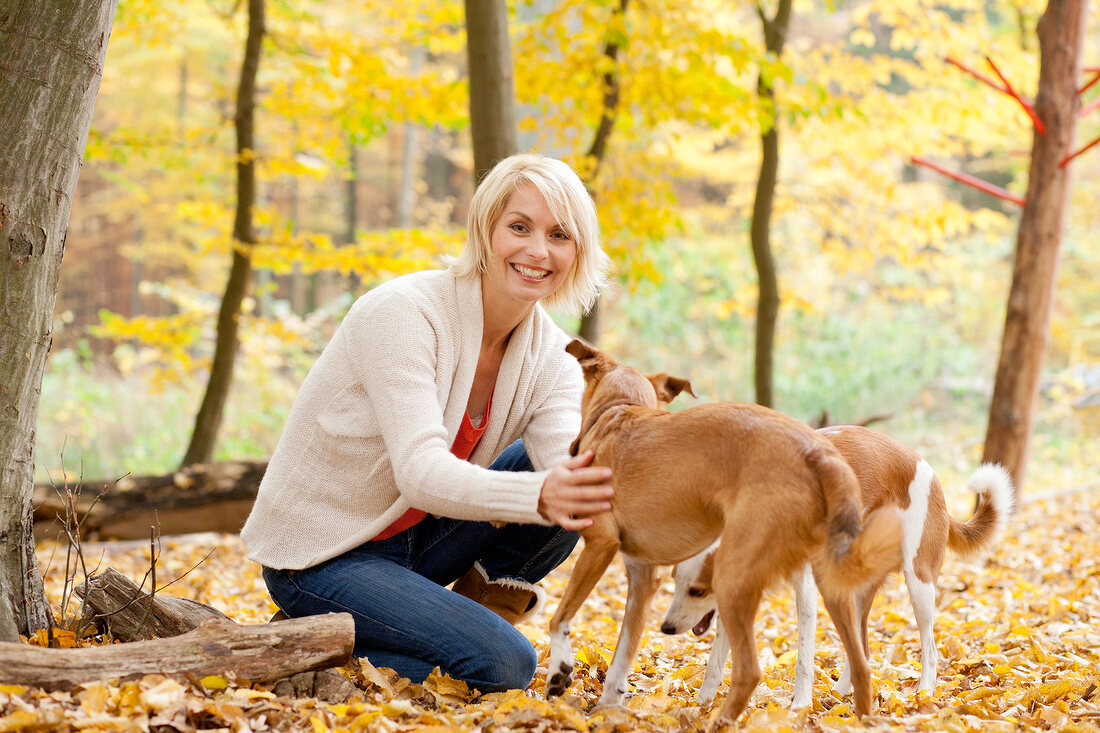Pretty blonde woman in beige cardigan crouching and playing with dogs in forest, smiling