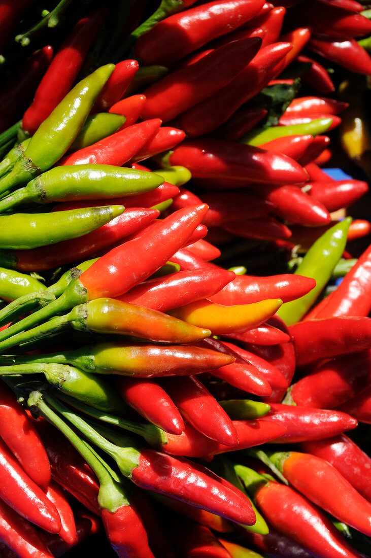 Close-up of different types of colourful peppers