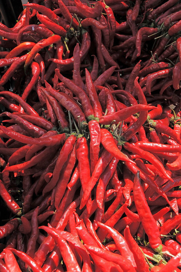 Close-up of different types of red peppers