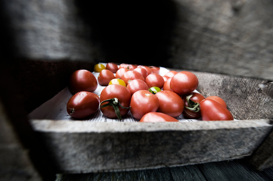 Close-up of red tomatoes in wooden basket