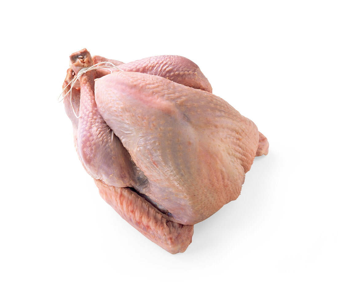 Raw turkey on white background