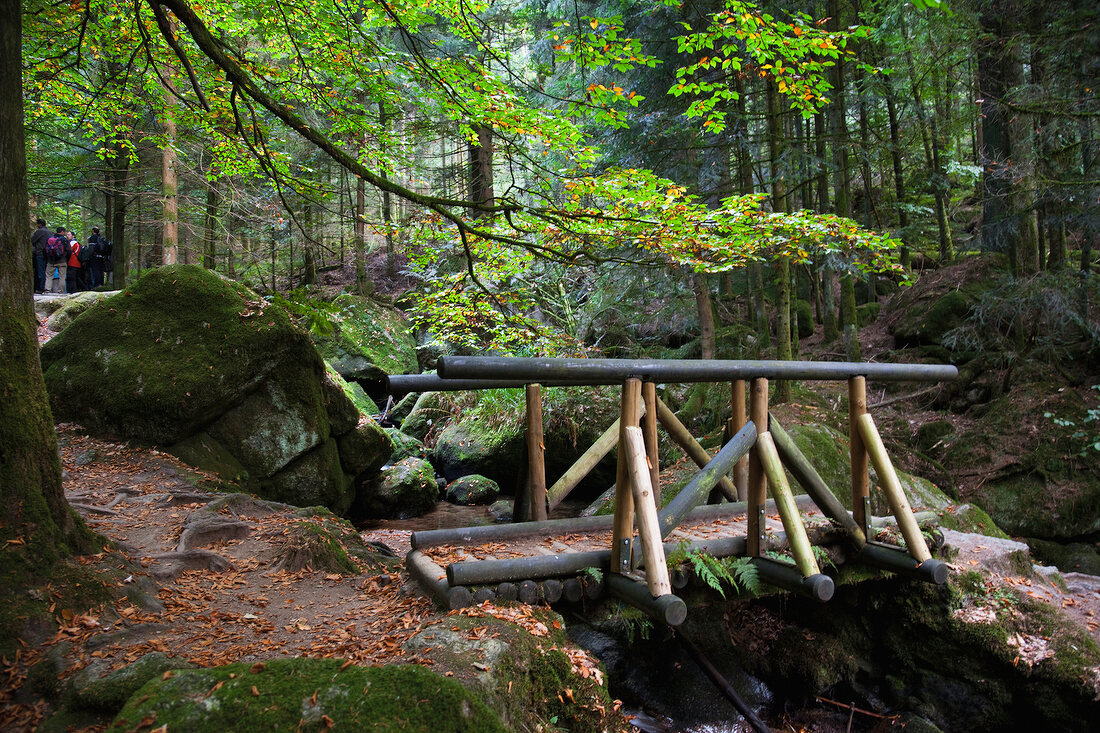 Small wooden bridge in Buhlertal, Black Forest, Baden-Wurttemberg, Germany