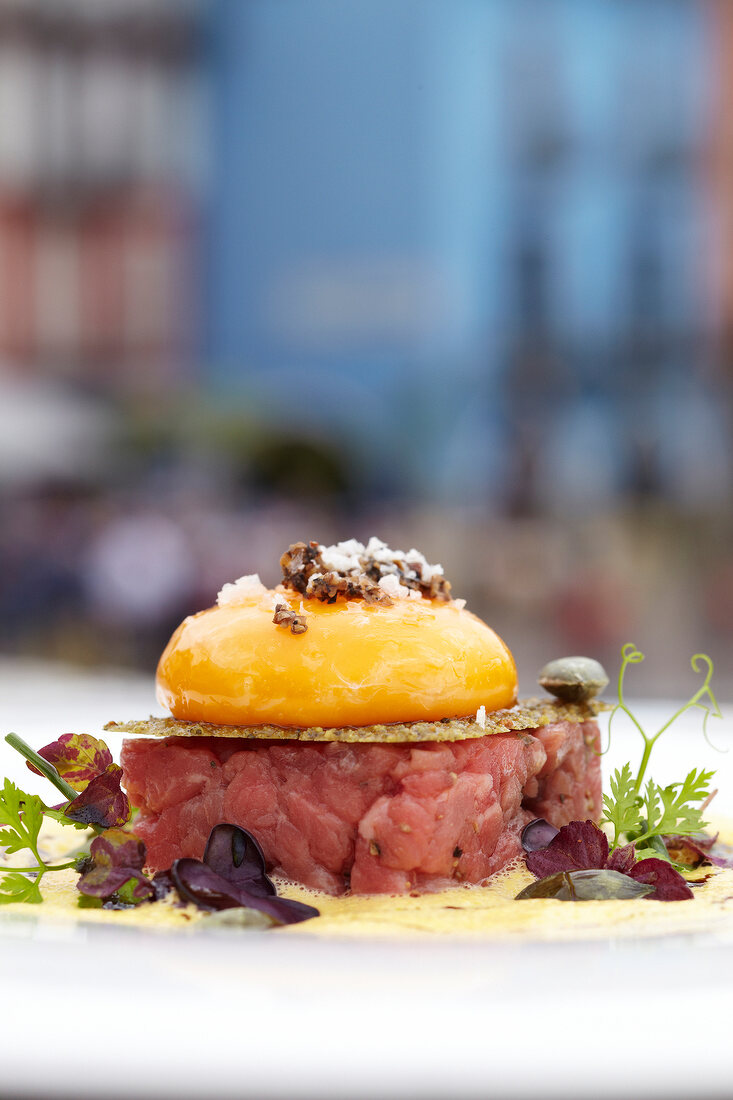 Close-up of tartar of Ticino Highland Cattle with yolk on cinnamon tree foam