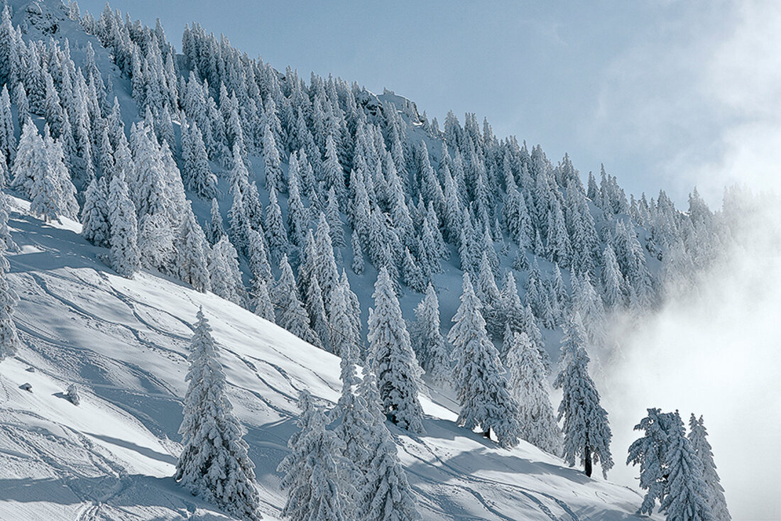 Winterküche, Tannenbäume am Berghang, Schnee, Voralpenland