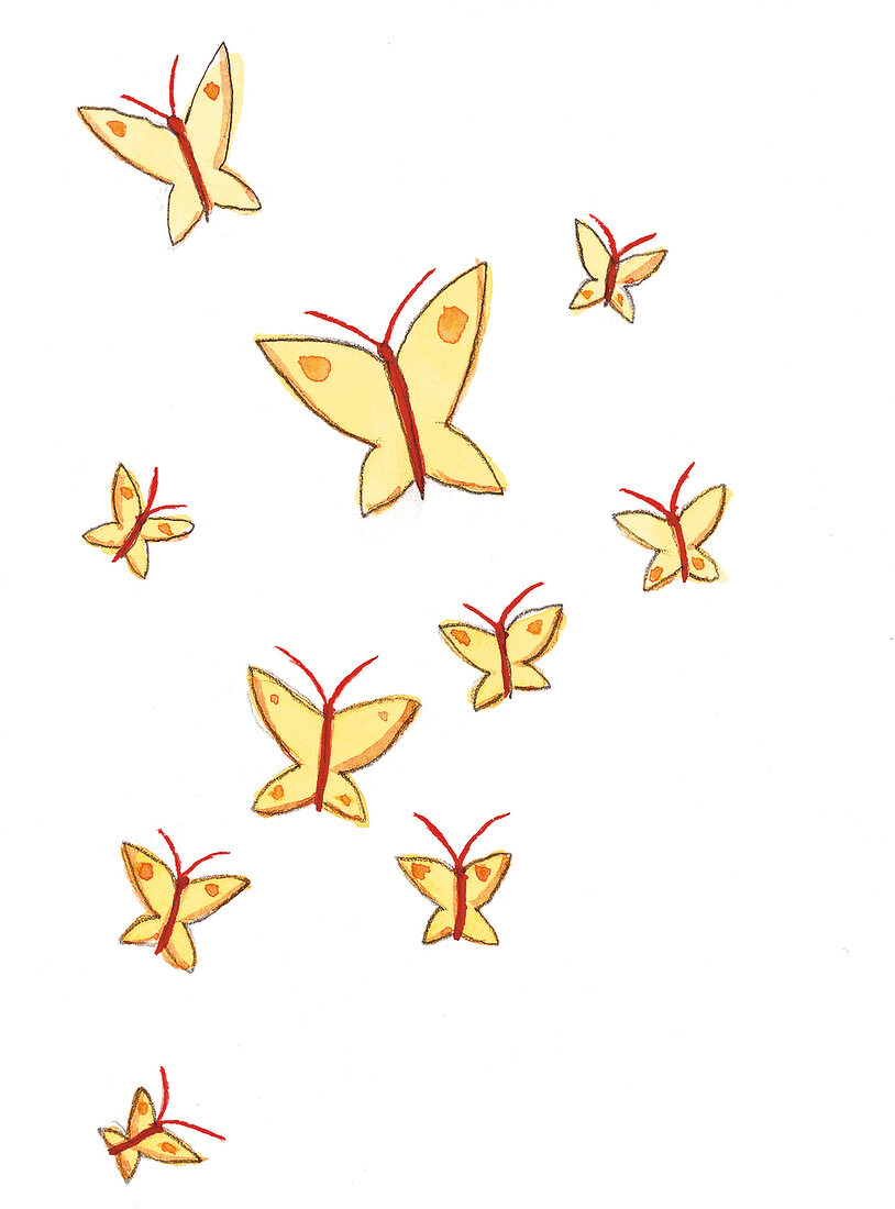 Schmetterlinge, Illustration 