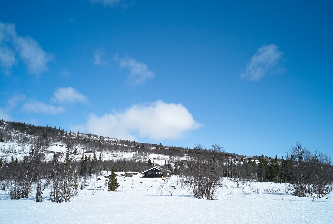 View of house and Hemsedal ski resort in winter, Norway