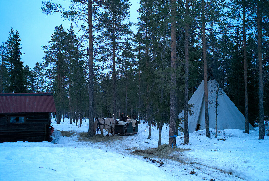 Trysil, Norwegen, Schlittenfahrt am Abend mit Pferd, Zelt