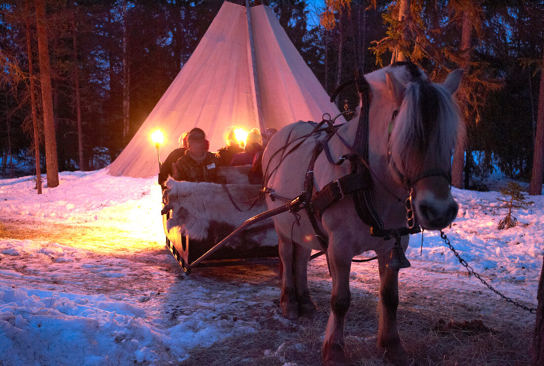 Trysil, Norwegen, Schlittenfahrt am Abend mit Pferd, Zelt