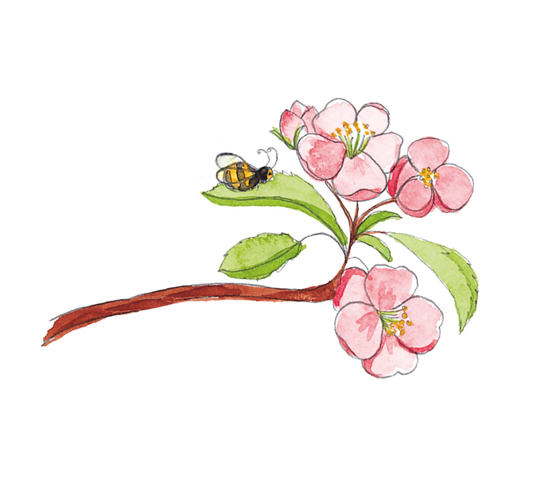 Blume mit Biene, Illustration 