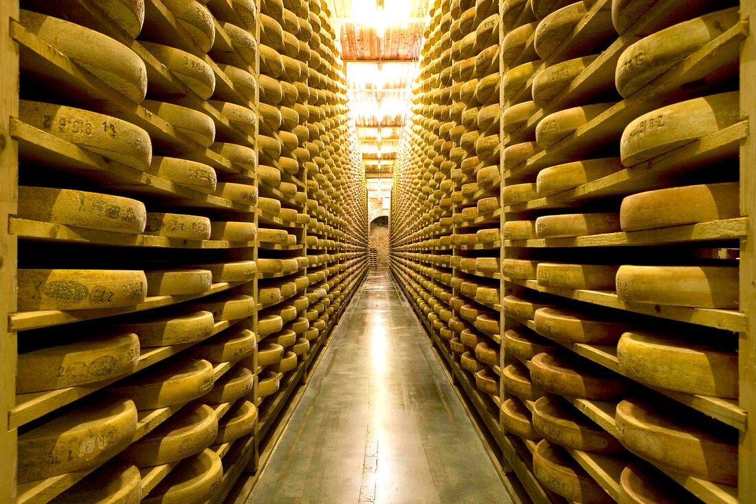 Stock of Comte cheese in Fort de Saint at Franche-Comte, Antoine
