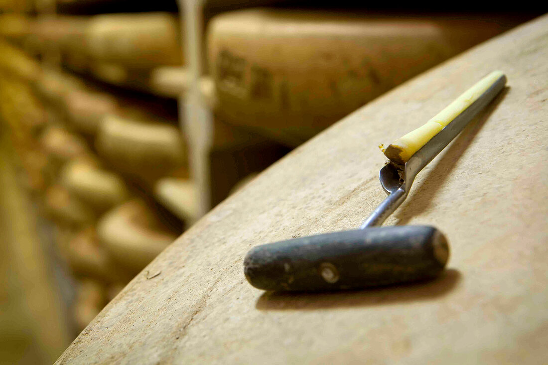 Cheese tester on Comte cheese in Fort de Saint at Franche-Comte, Antoine