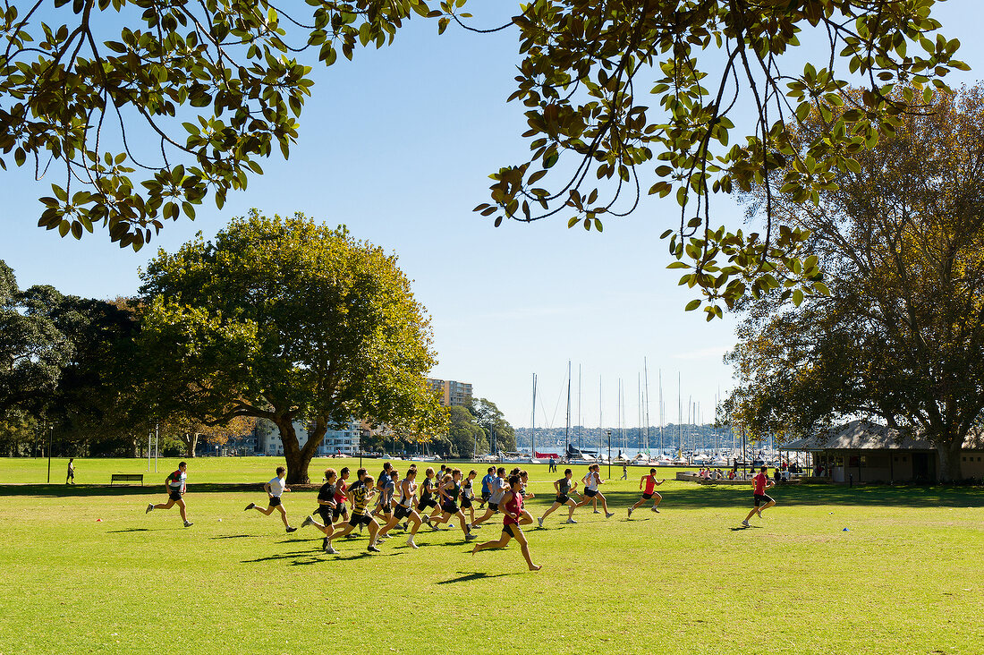 Australien, New South Wales, Sydney, Rushcutters Bay, Rugbytraining