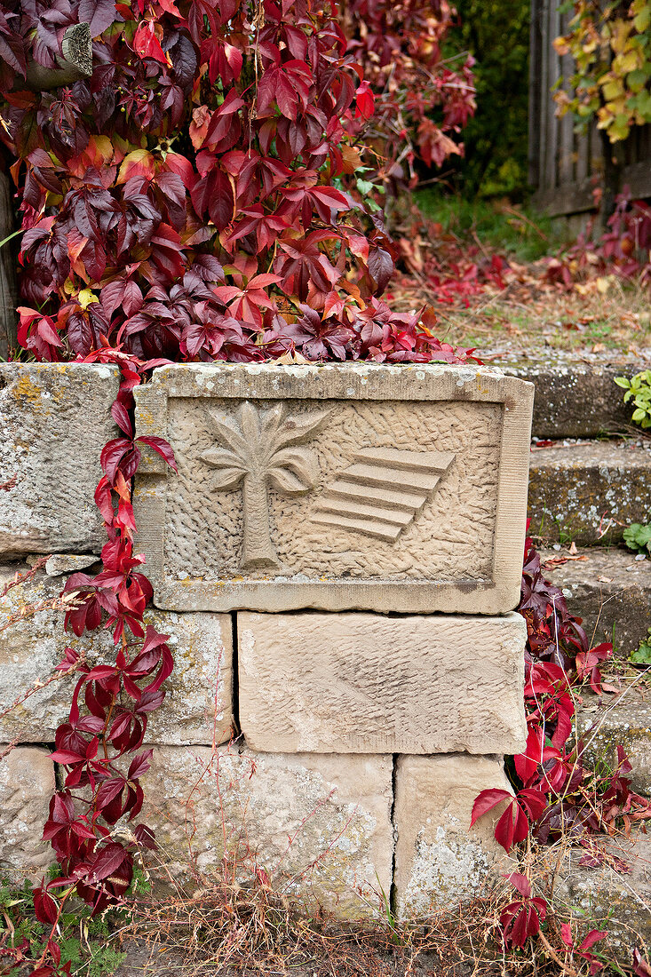 Mauer, Relief, Blätter, Garten, Herbst, herbstlich, rot, gefärbt