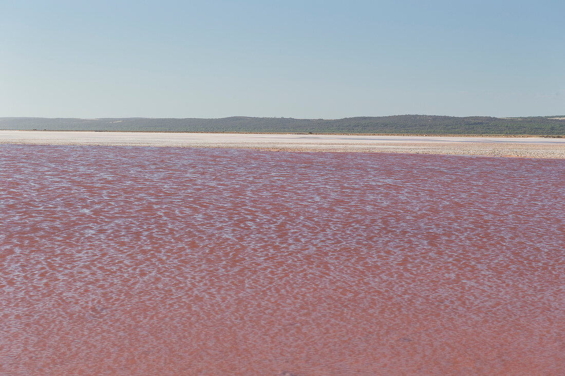 Australien, Western Australia, Kalbarri-Nationalpark, Pink Lake