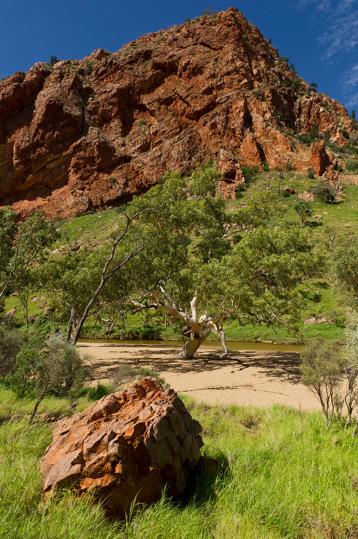 View of Simpson Desert in Larapinta Trail, Australia