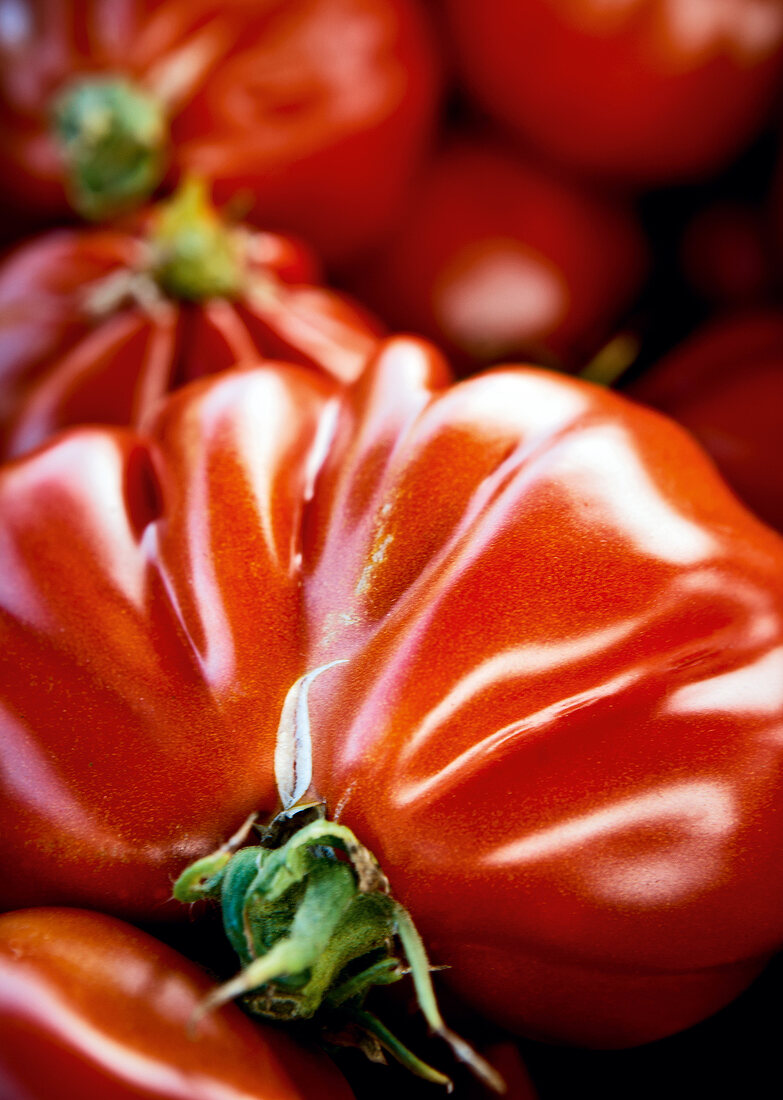 Close-up of red tomatoes