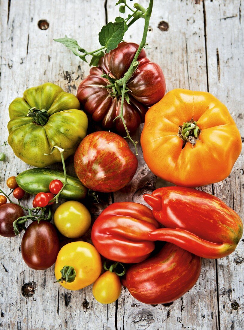 Stillelben mit verschiedenen Tomatensorten (Aufsicht)