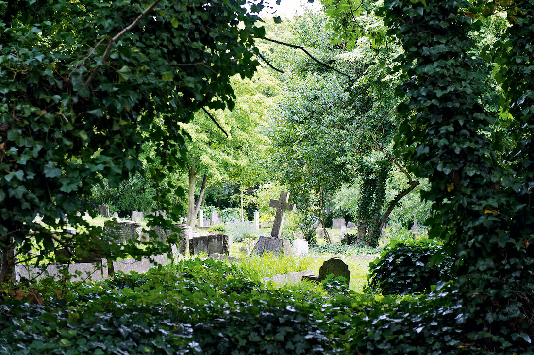 View of Highgate Cemetery through bushes, Camden, London, UK