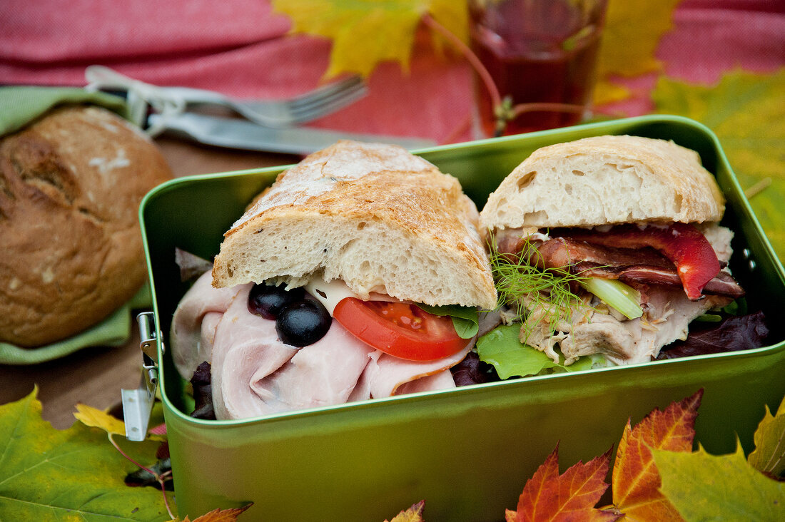 Picnic lunchbox with ham, olives and tomato in bun