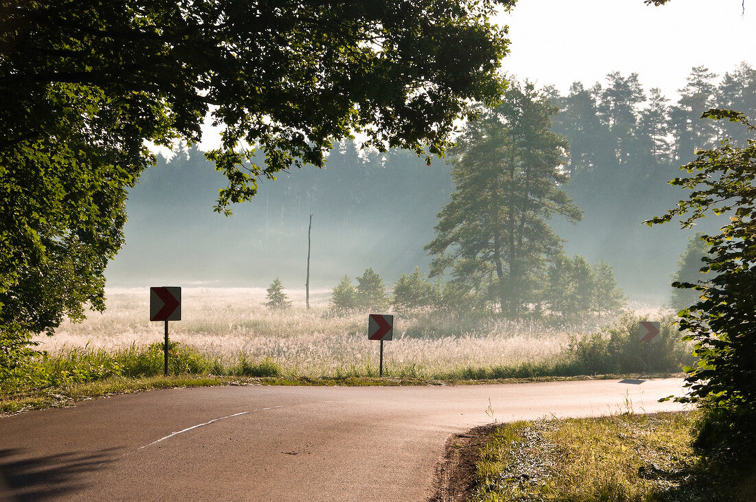 View of road at Warmia-Masuria near Mikolajki forest path in Poland