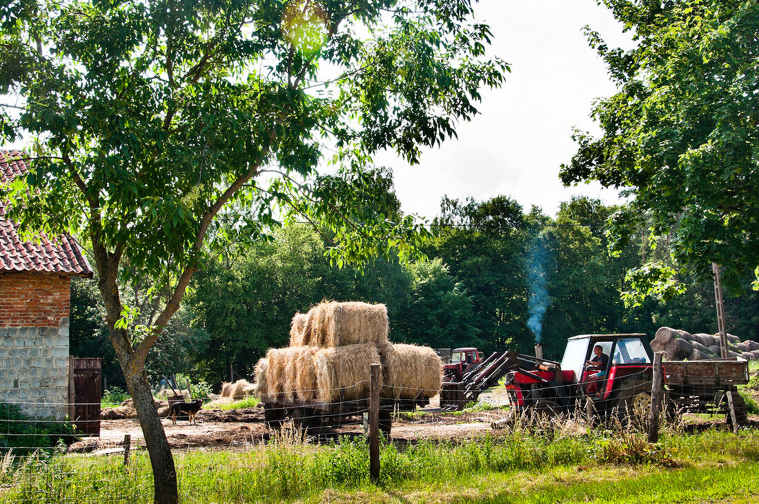 View of Village Farm at Warmia-Masuria near Mikolajki in Poland